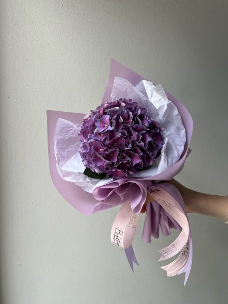 Облачко гортензии