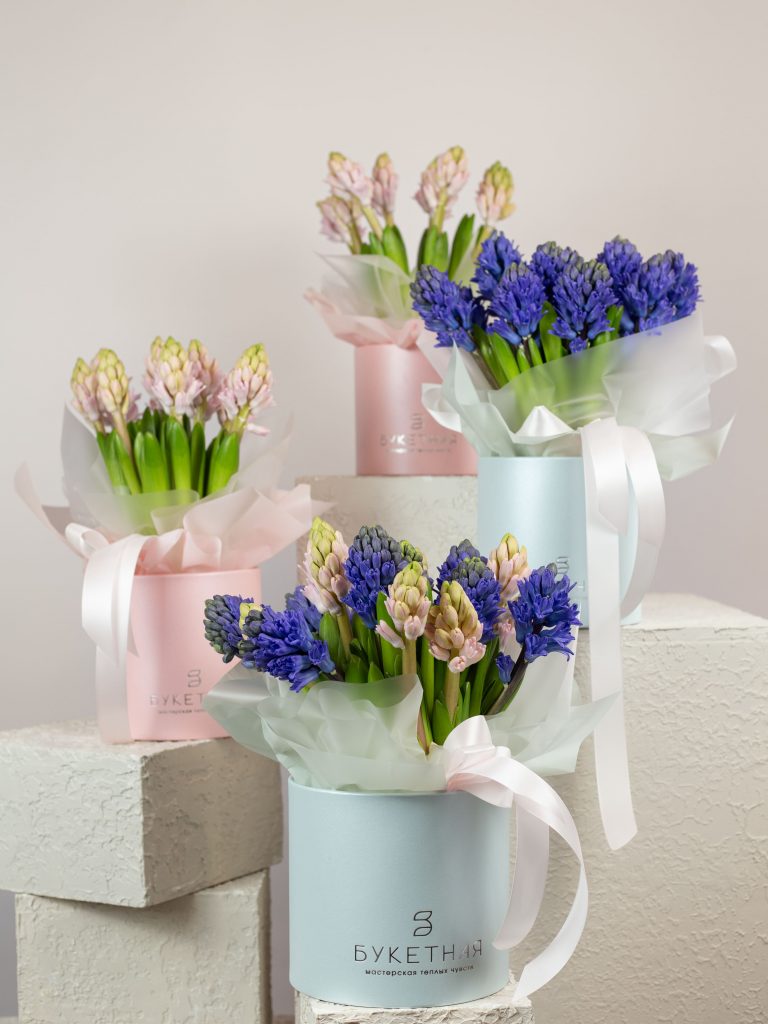 Композиция из гиацинтов
