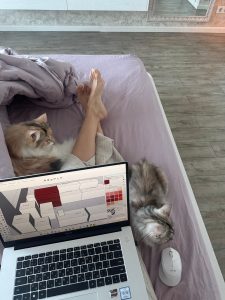 Наши первые 3 месяца