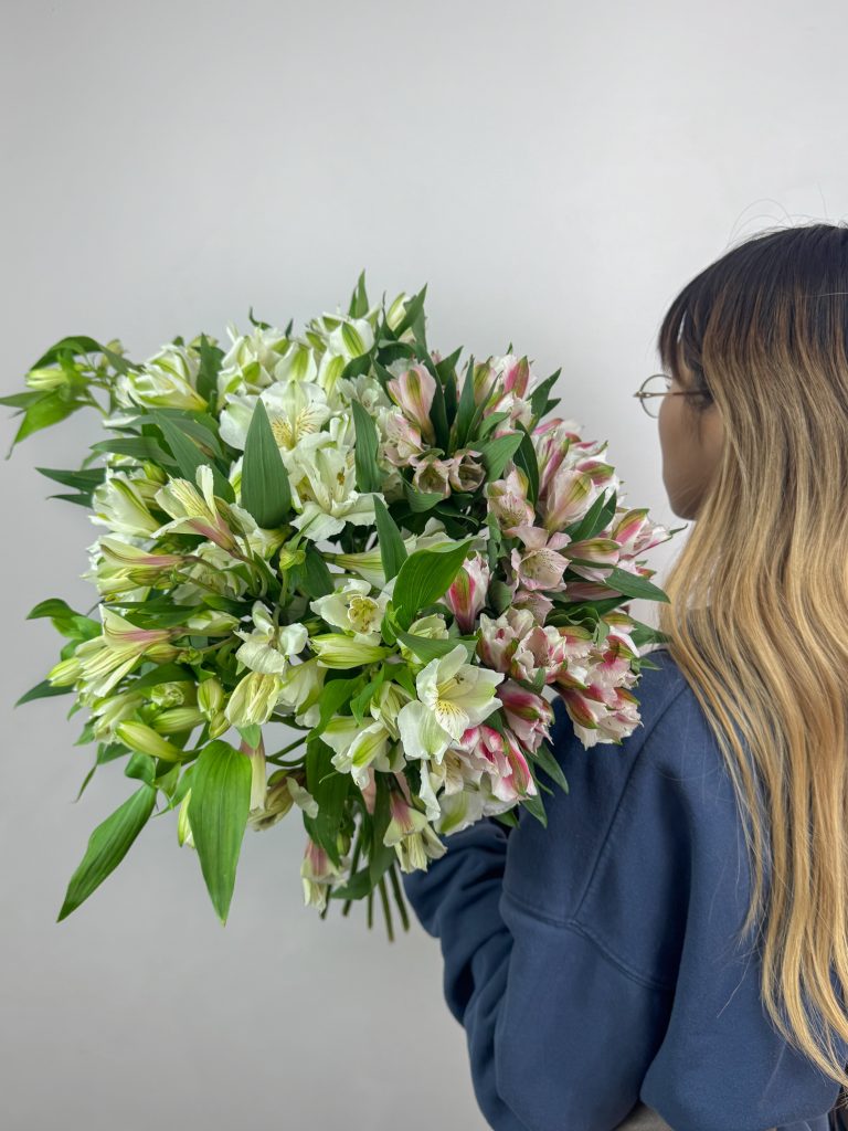 Альстромерии