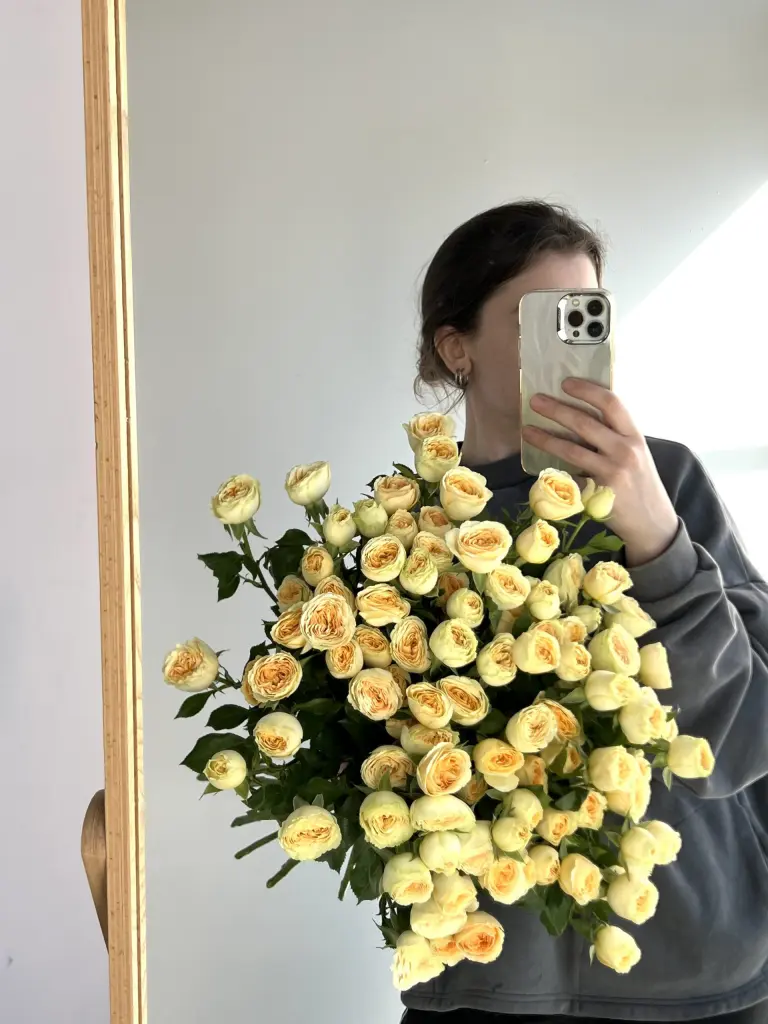 Кустовая роза Бандолеро