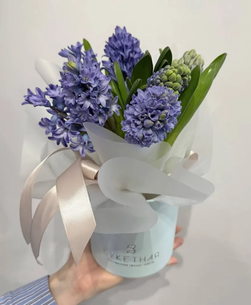 Яркий букет с гиацинтами в коробке, 7 шт