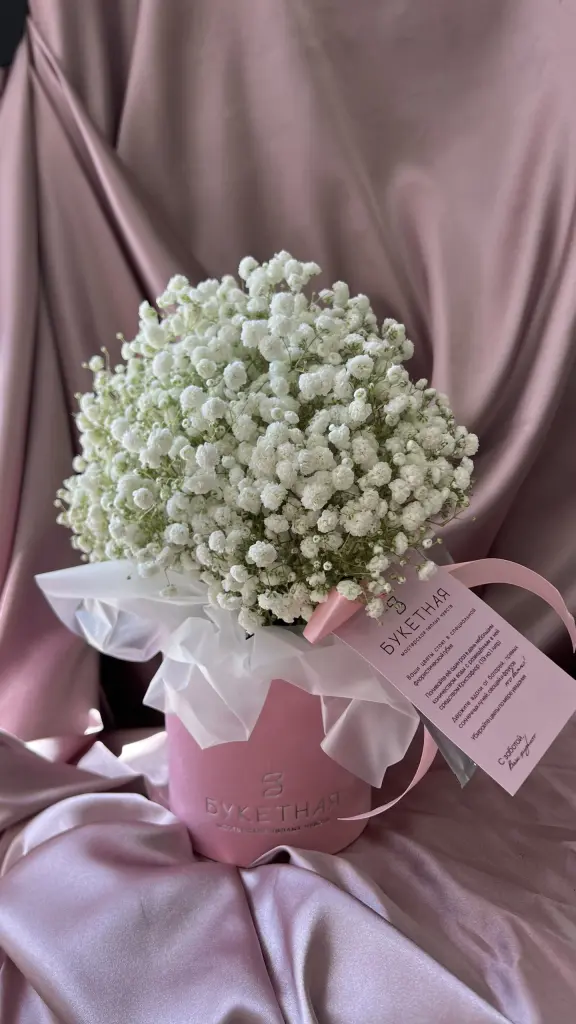 Композиция из гипсофилы