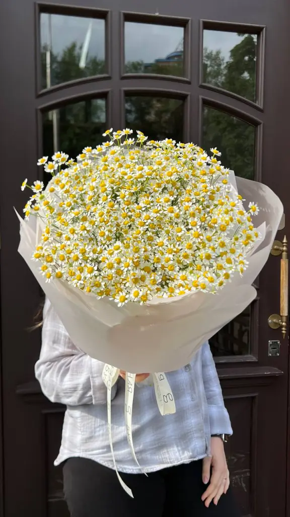 Монобукет Ромашки