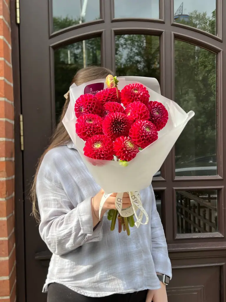 Монокут красных Георгинов